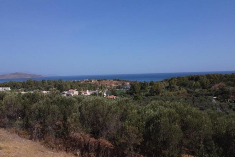 Agioi Apostoli Kreta, Agioi Apostoli: Grundstück mit Meerblick in der Nähe des Stadtzentrums zu verkaufen Grundstück kaufen